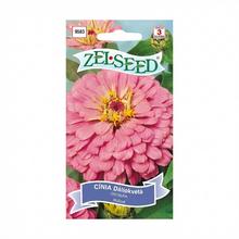 Semená Cínia Dália ružová 1g