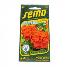 Semená muškátu Lucie F1 v obale.