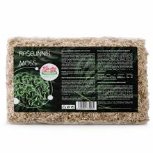 Rašeliník Terrabloom 12l