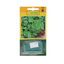 Semená petržlenu vňate Festival 68, 500s.