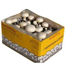 SADBA ŠAMPIŇÓNY SUBSTRÁT 6,5L