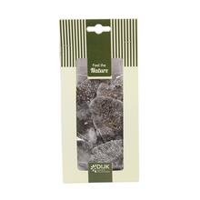 Huba z prírody 10x5x22cm 50gr