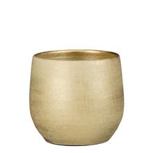 Obal Marcus šampaň, priemer 24 cm